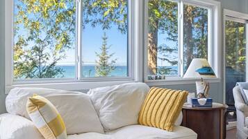 Smart TV, fireplace, DVD player, video library