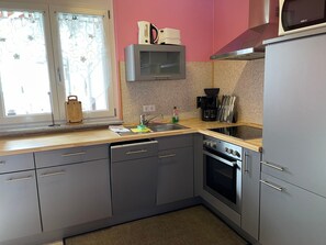 Fridge, microwave, oven, dishwasher - Non smoking apartment 60sqm, No. 3, 2 bedrooms - Guesthouse Durst (Rust)