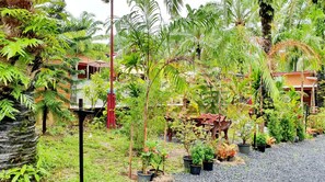 Vue sur le jardin