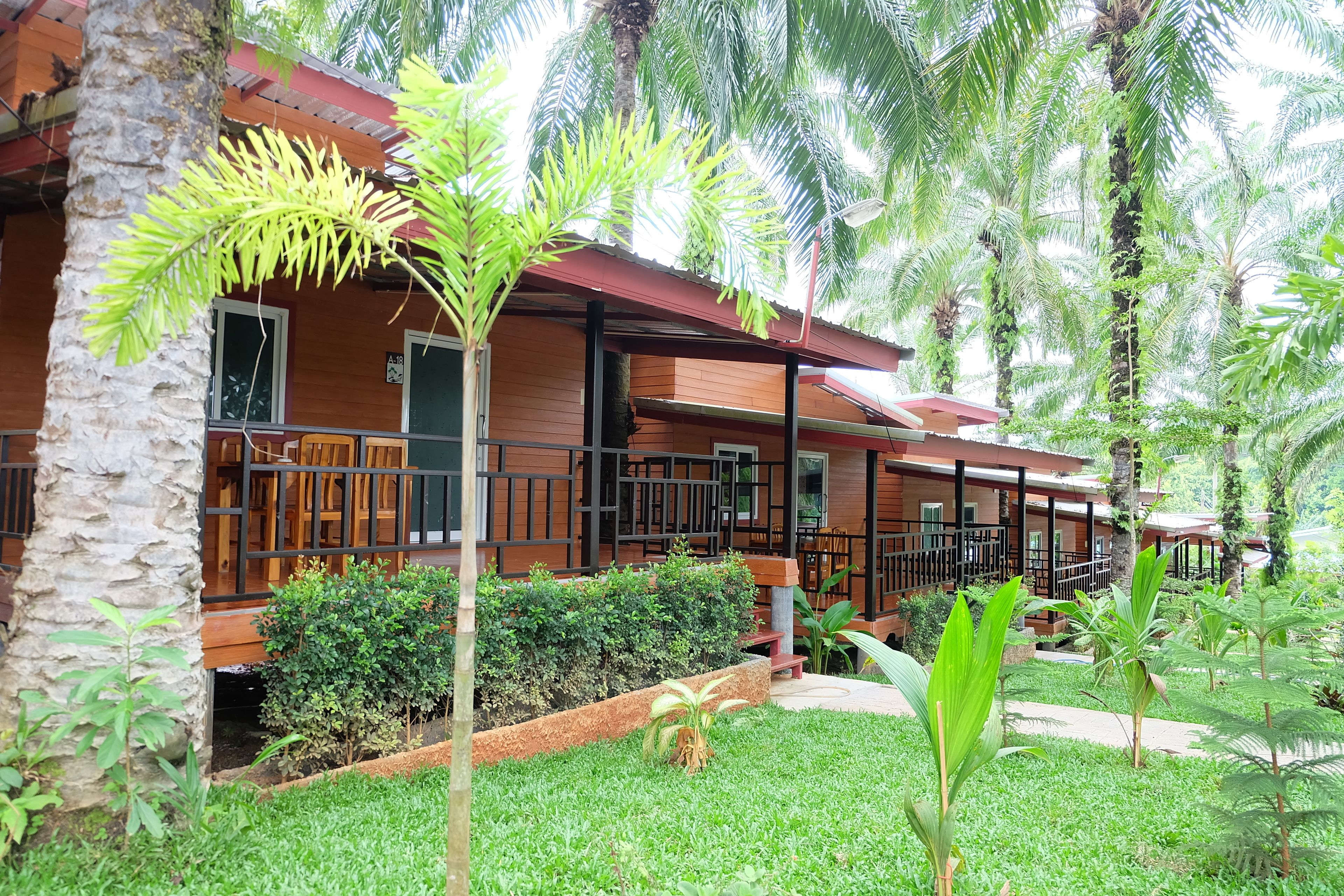 Vista desde la habitación