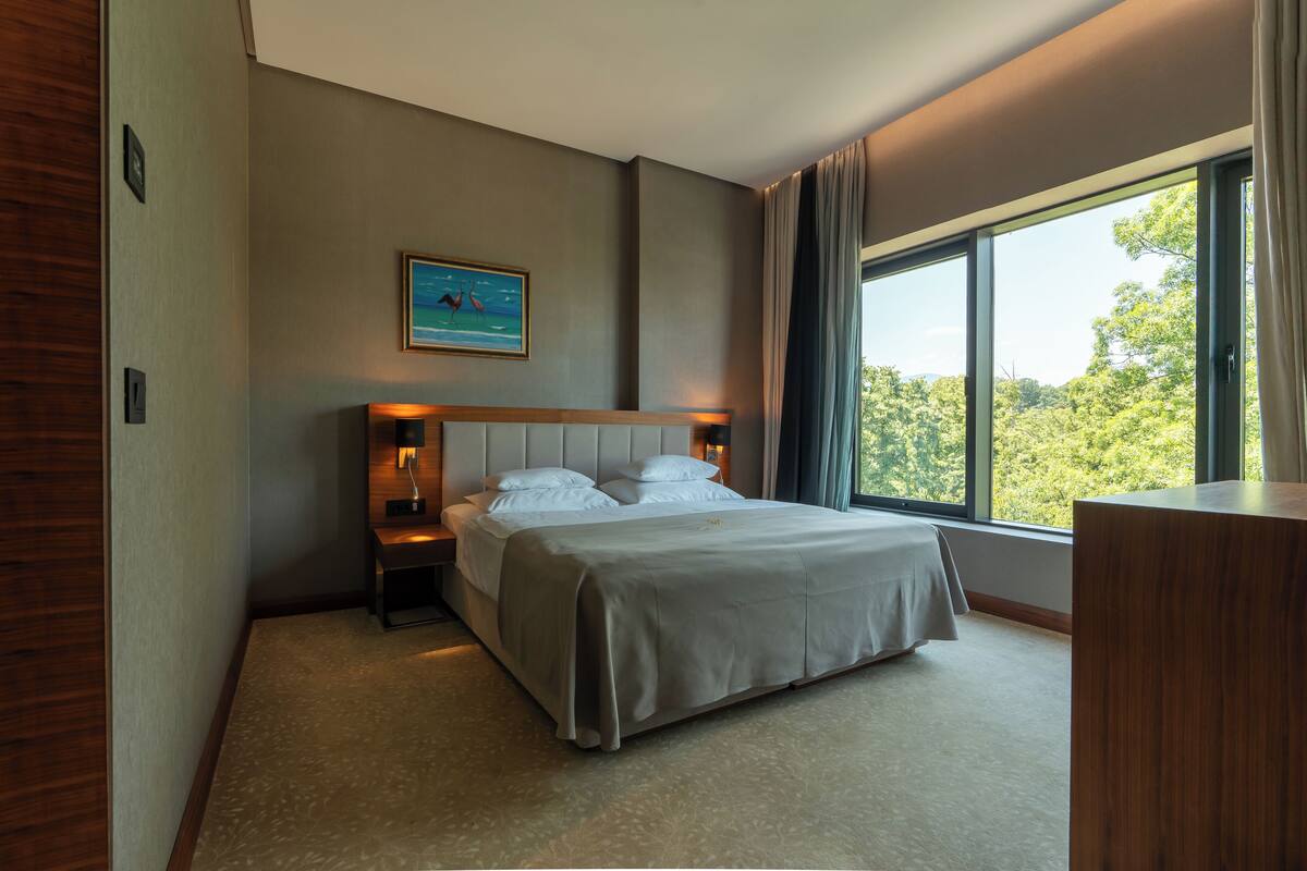 Habitación de hotel con una cama grande, una mesita de noche, una lámpara de pared, un cuadro y un ventanal con vistas a árboles.