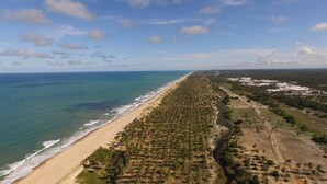 An aerial view of a coastal area with a long stretch of beach and a dense plantation of trees. - Pousada Solar da Lagoa Baixio (Esplanada)