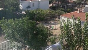 Un barrio residencial con casas, árboles y vista al mar.