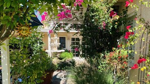 Un sendero en un jardín que lleva a una casa con fachada blanca, rodeada de abundante follaje y plantas con flores.