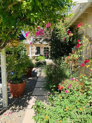 Property grounds - Moroccan Vibes~Pool and Garden Views. Private Courtyard Walk to El Paseo. (Palm Desert)