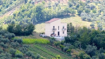 Nhà | Ngoại thất