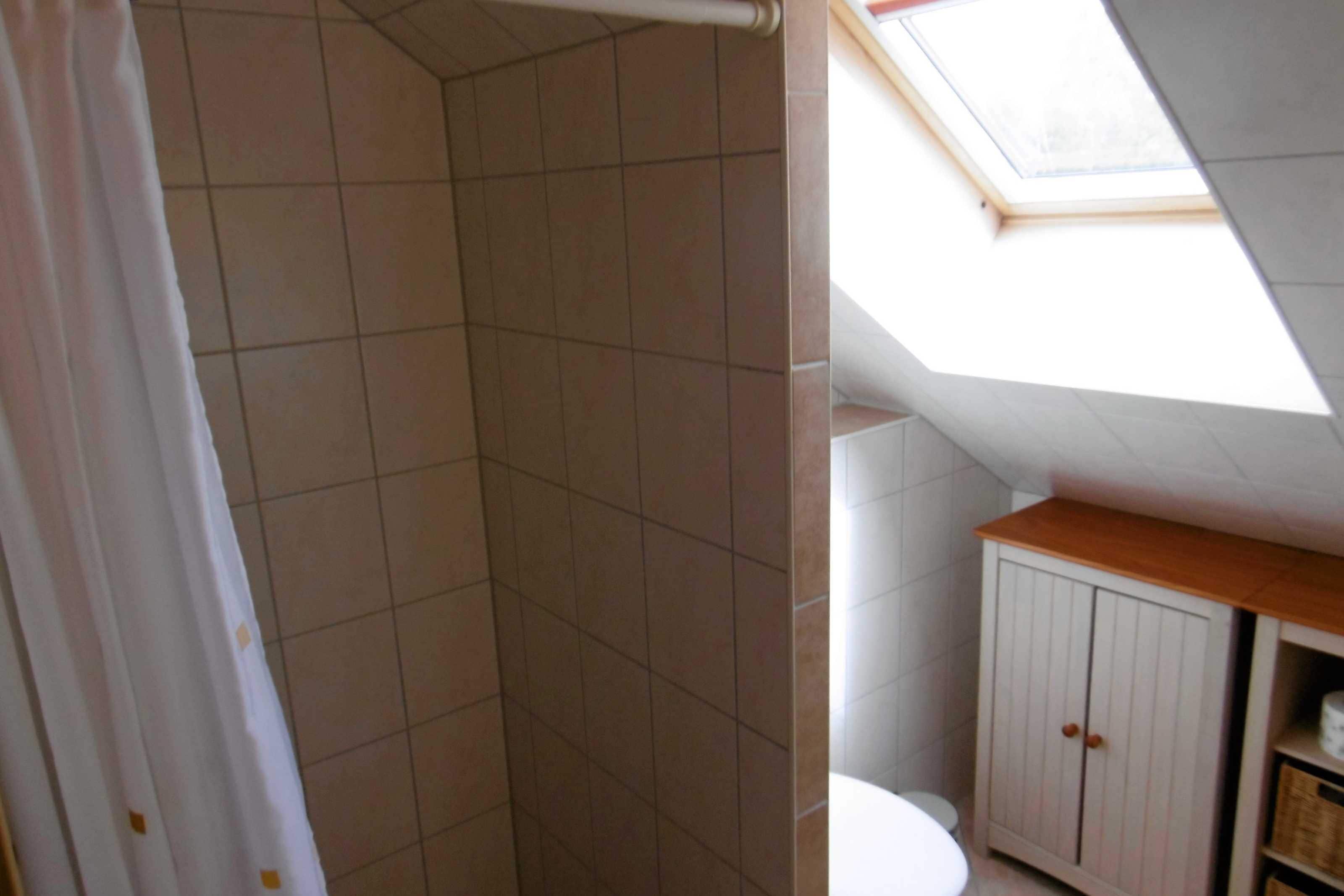 Bagno con doccia, WC e mobiletto sotto un lucernario.
