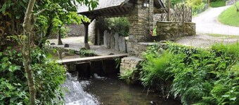 The rentals of the well