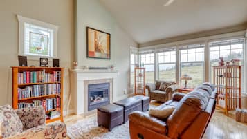 TV, fireplace, books