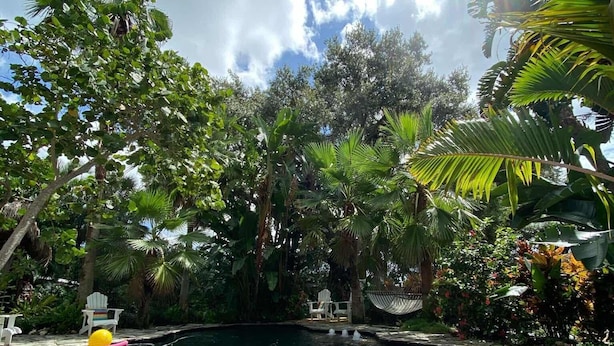 A poolside area with a stone deck, lounge chairs, and a hammock. - Beautiful luxury 2 bedroom private   Cottage (Dunedin)