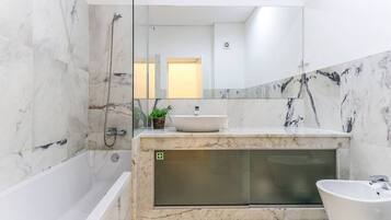 Combined shower/tub, hair dryer, bidet, towels