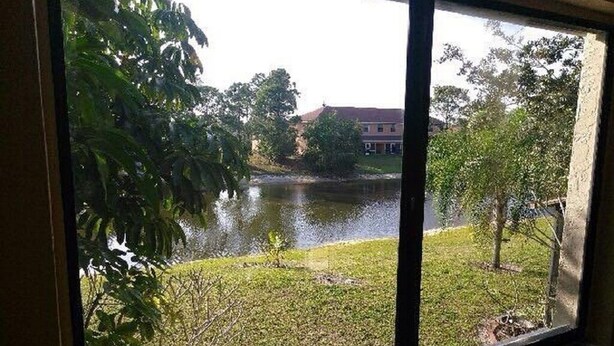 Vista a través de una ventana que muestra un área verde con una masa de agua y un edificio al fondo.