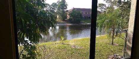 A view through a window of a grassy area with a body of water and a building in the background.