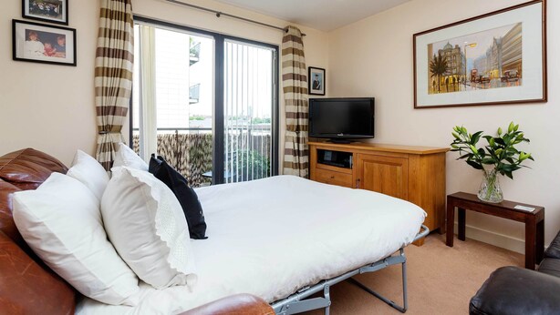 A hotel room with a bed, a television, a small table with a plant, and a window with curtains.