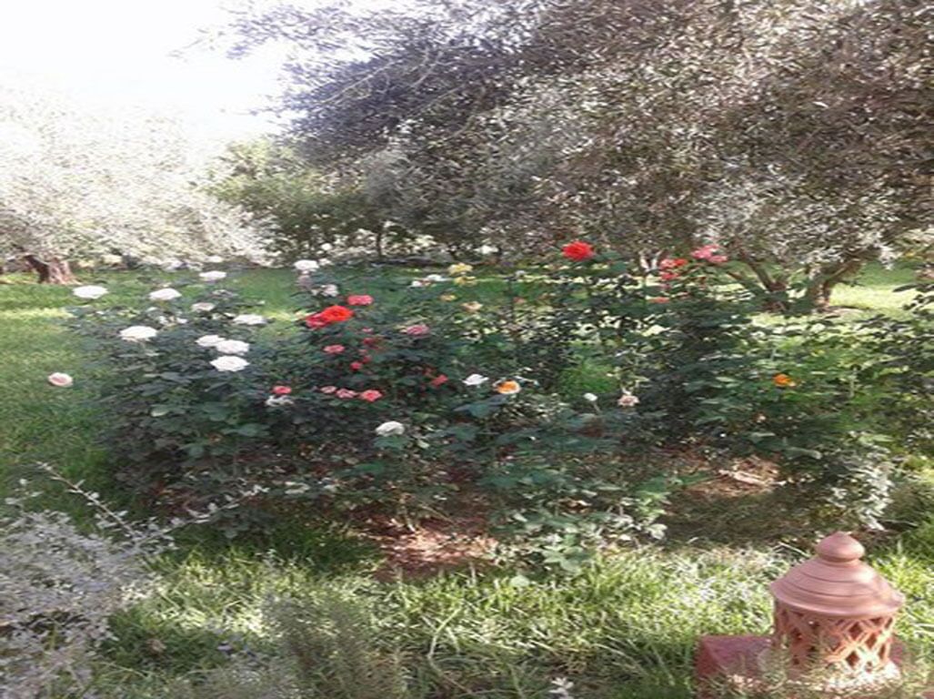 Un jardin agrémenté de diverses fleurs et d’une lanterne décorative.