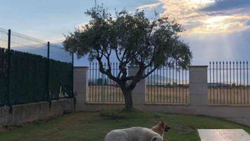 Área da propriedade