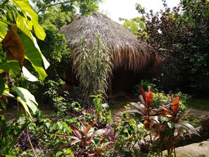 Garden view - Ecohotel Las Palmeras (Rosario Islands)