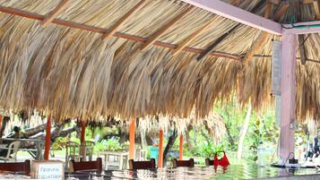 Dock