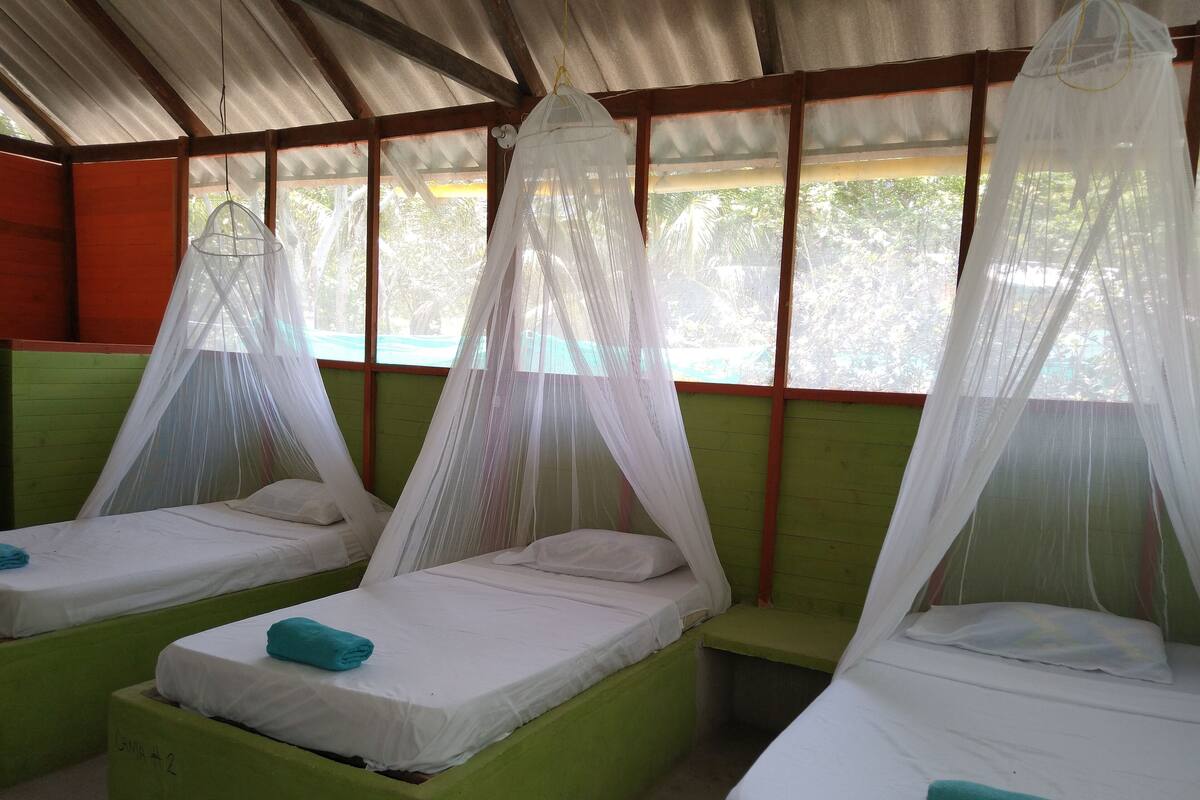 Shared Dormitory