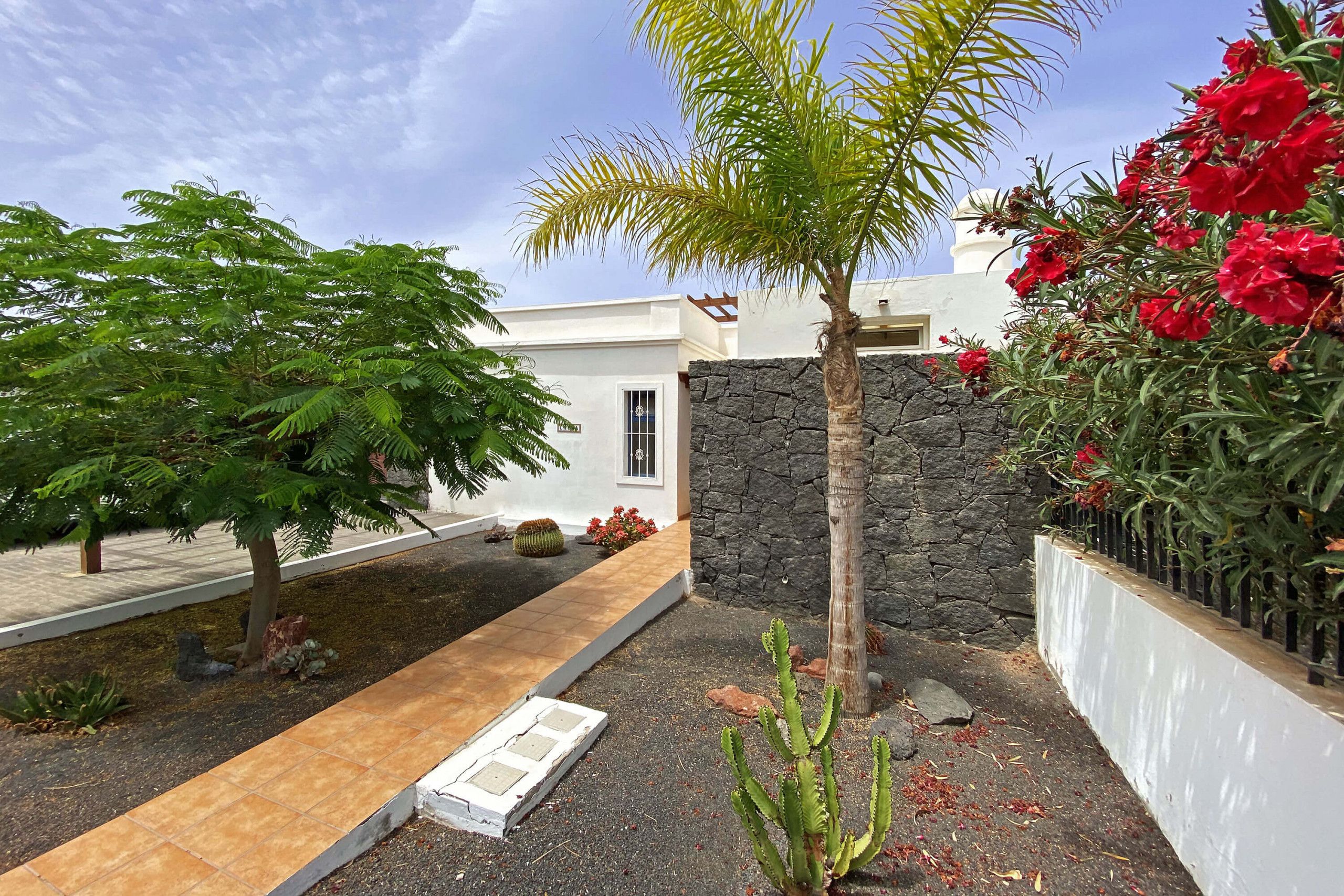 A modern outdoor area with a stone wall, a palm tree, and a cactus.