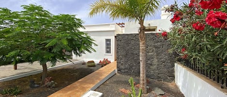 Uma área externa moderna com uma parede de pedra, uma palmeira e um cacto.