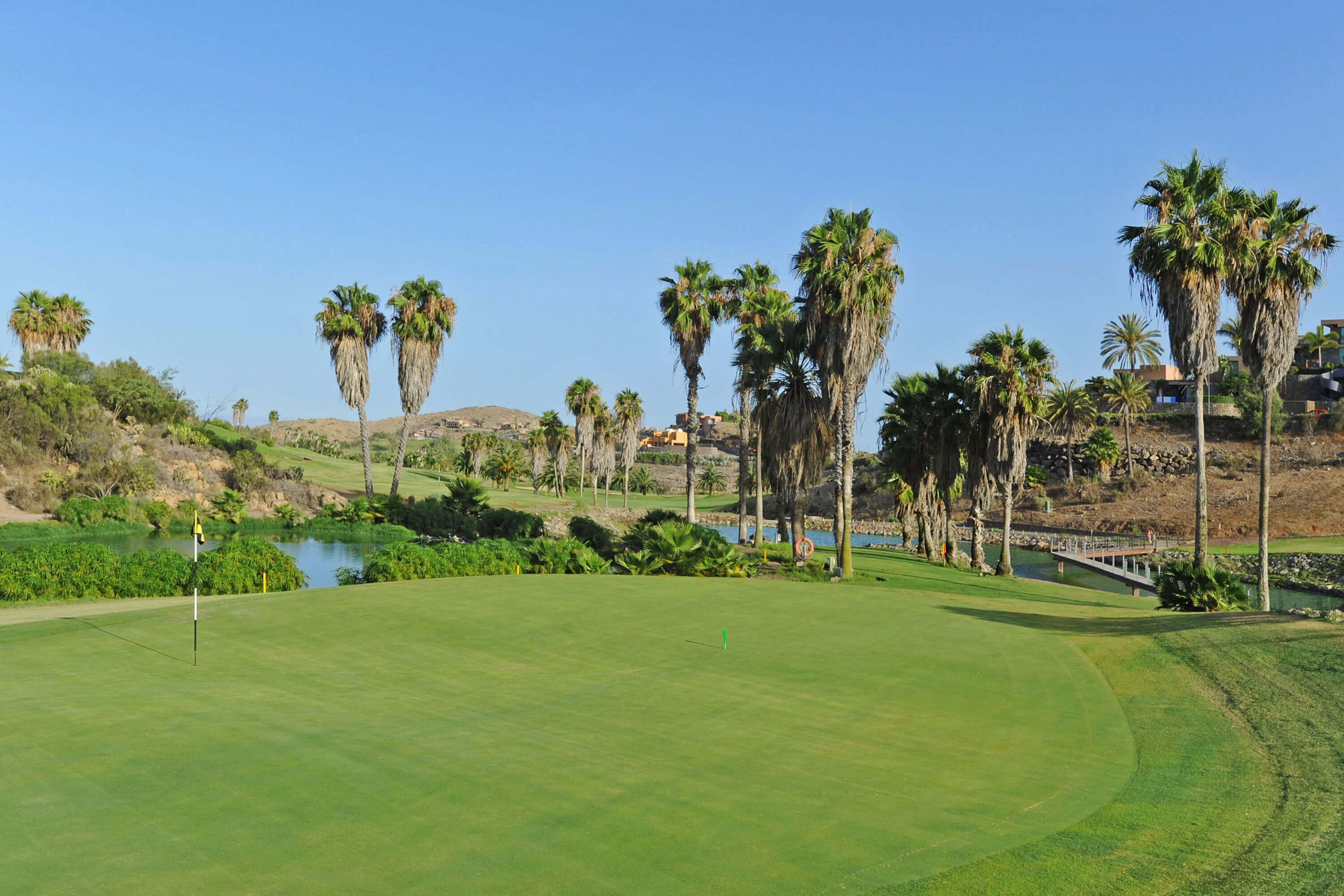 A golf course with a pond, palm trees, and a bridge.