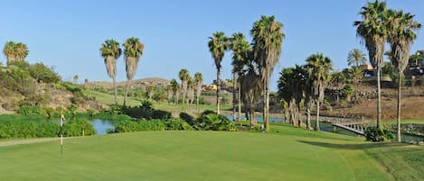 A golf course with a pond, palm trees, and a bridge.