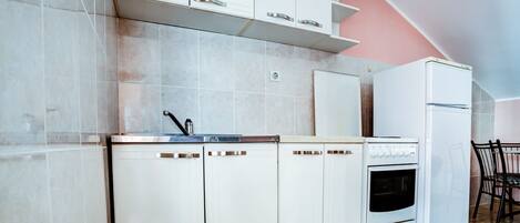 Fridge, oven, stovetop, cookware/dishes/utensils