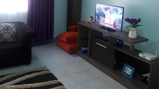 Una sala de estar con televisor, sofá, una silla roja, una mesita con un florero y una alfombra estampada.