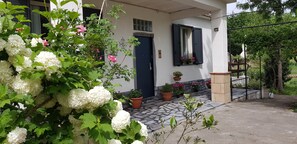 Exterior detail - Etna, sage and rosemary (Maletto)