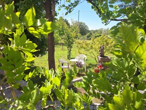 Property grounds - Etna, sage and rosemary (Maletto)
