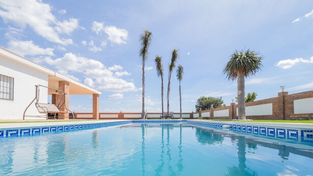 Una piscina con borde de azulejos, palmeras y un edificio con zona de estar cubierta.