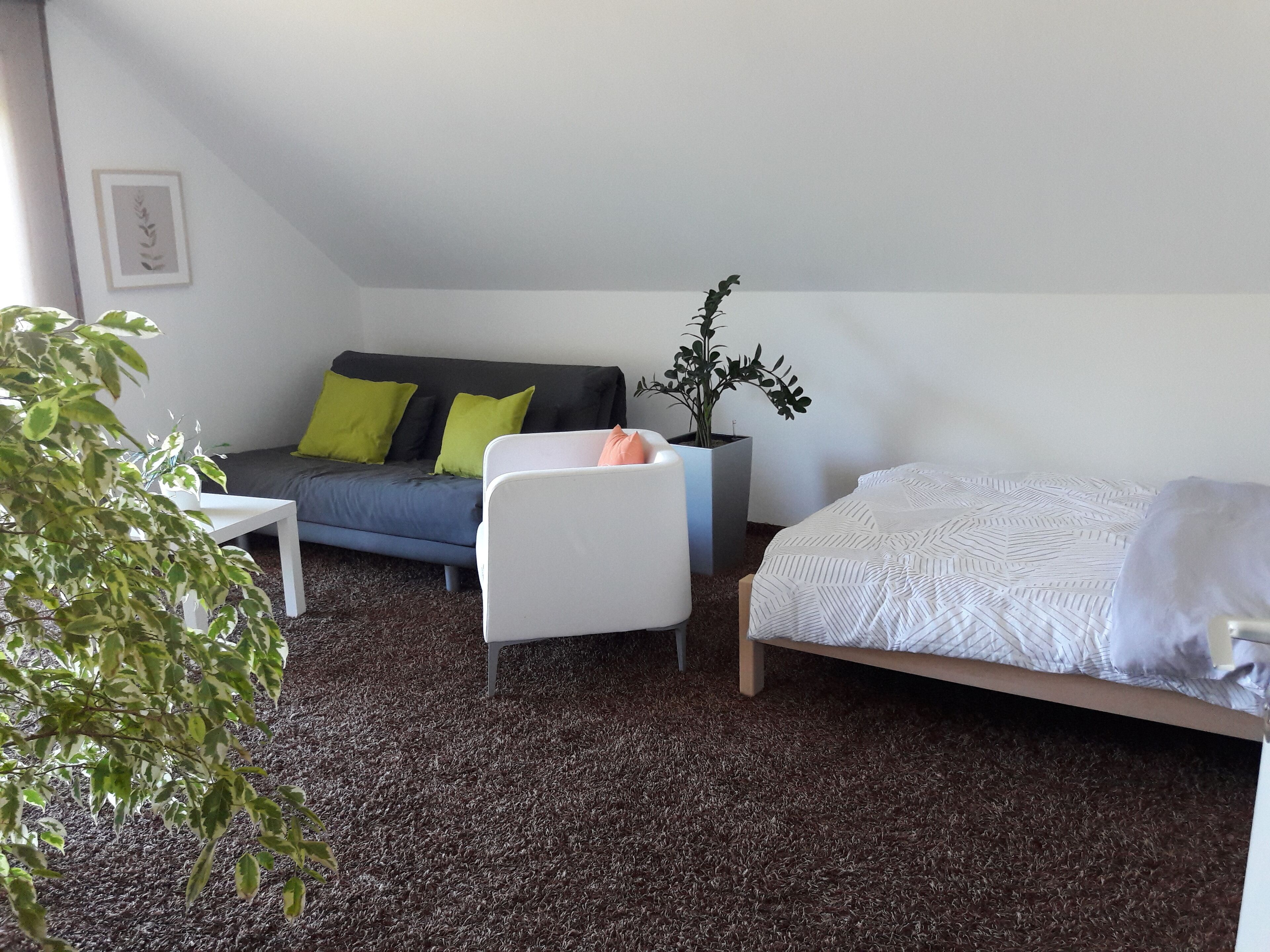 A small, cozy room with a bed, a sofa, a white chair, and a small table. There is a plant on the table and a picture on the wall.