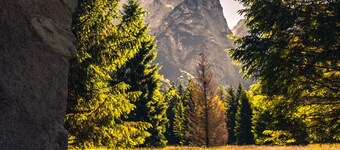 Baita Valon - Alpine Hideaway