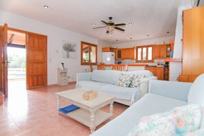 Télévision, cheminée, lecteur de DVD