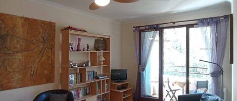 TV, DVD player, table tennis, books