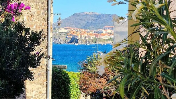 Unclassified image, 1 of 11, button - 4EGA41 - Superb F3 in the city center (COLLIOURE)