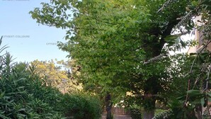 Oklassificerad bild, 5 av 15, knapp