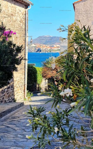 Property grounds - 2PA80 - Nice studio with swimming pool (COLLIOURE)