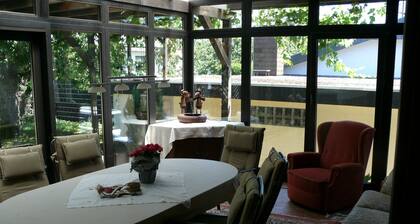 2 Zimmer, Küche, Bad (Vollausstattung), Terrasse