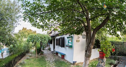 Sommerhaus Traditionelles Ferienhaus