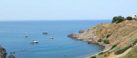 بالقرب من الشاطئ