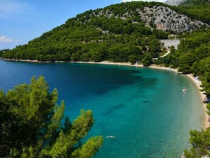 Un paysage côtier caractérisé par une mer turquoise aux eaux limpides, une plage de sable et des collines verdoyantes et densément boisées.