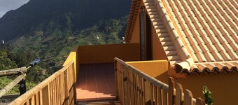 Yellow Attic S. Vincent