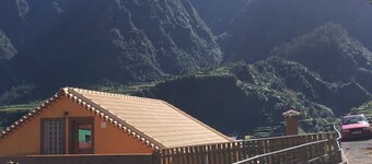 Yellow Attic S. Vincent