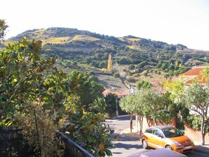 Property grounds - 8COL12 - Spacious with swimming pool (COLLIOURE)