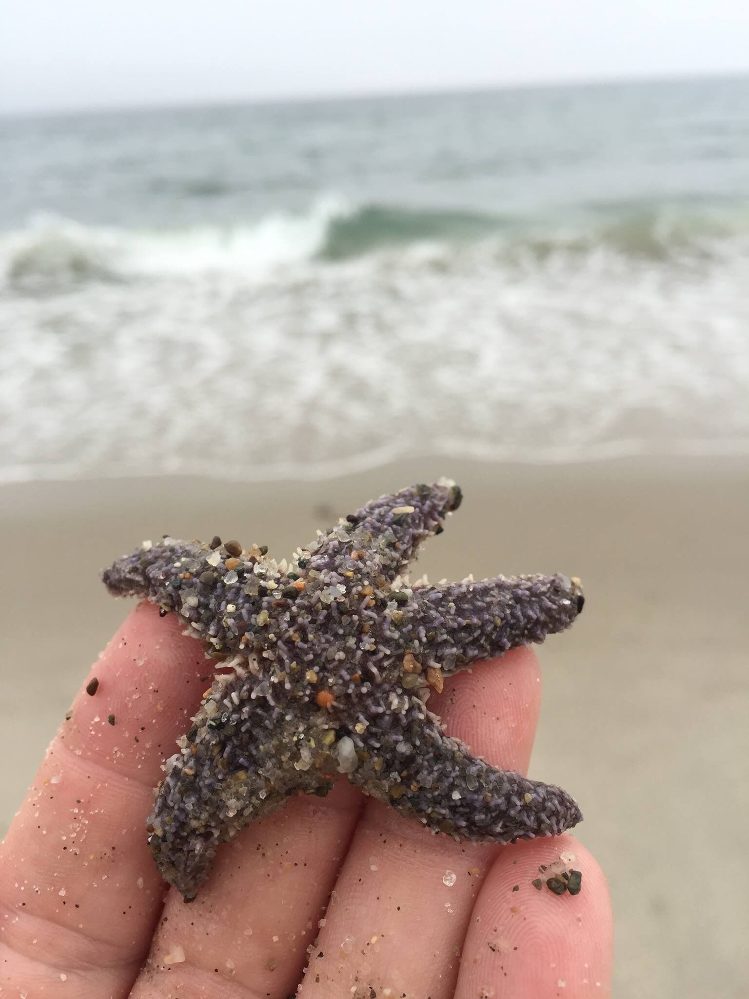 Liegestühle, Strandtücher