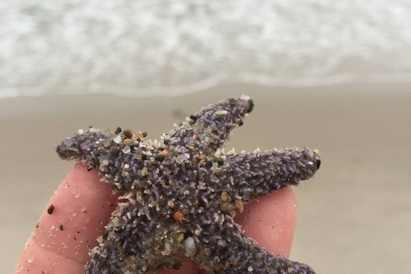 LiegestĂŒhle, StrandtĂŒcher