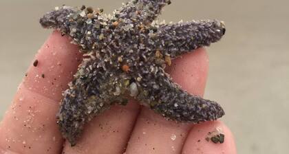 Creating Space Guest Suite Two