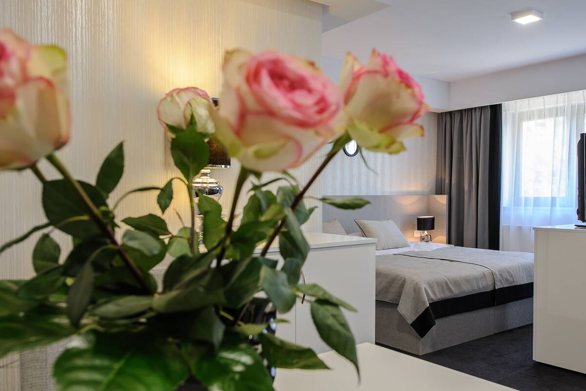 deluxe apartment | desk, free wifi, bed sheets